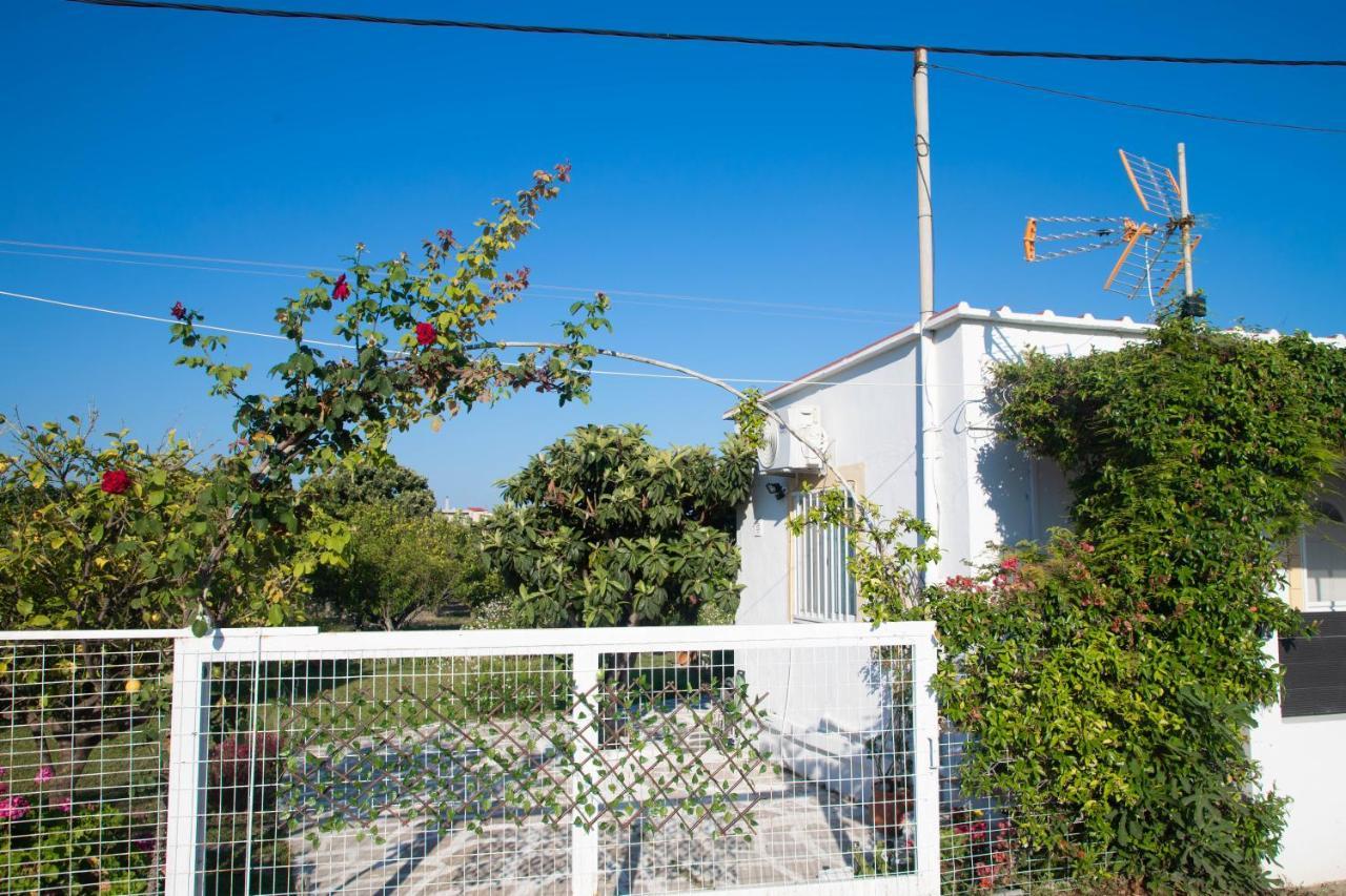 Livadi House * Theológos